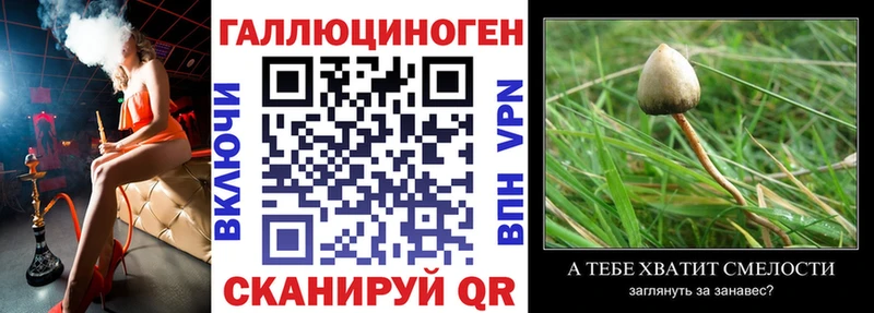 Псилоцибиновые грибы Psilocybine cubensis  Очёр 